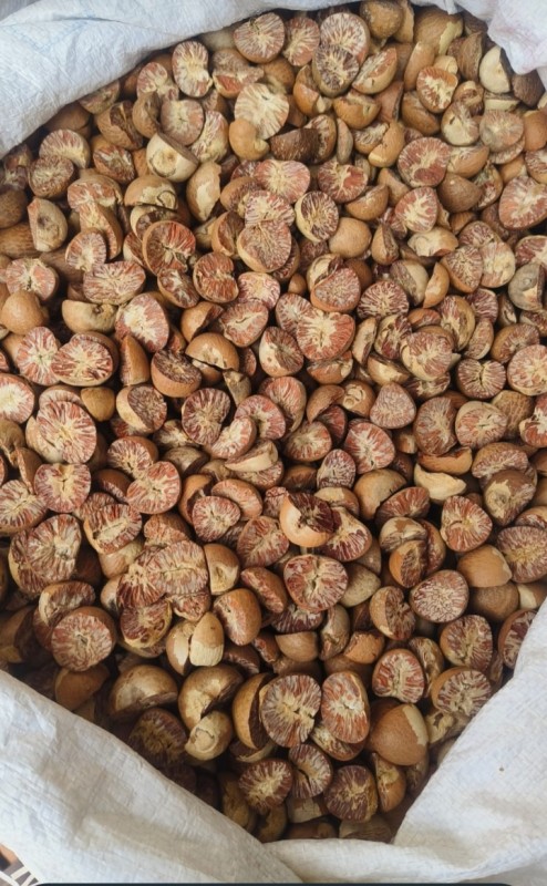 Pinang from Angola