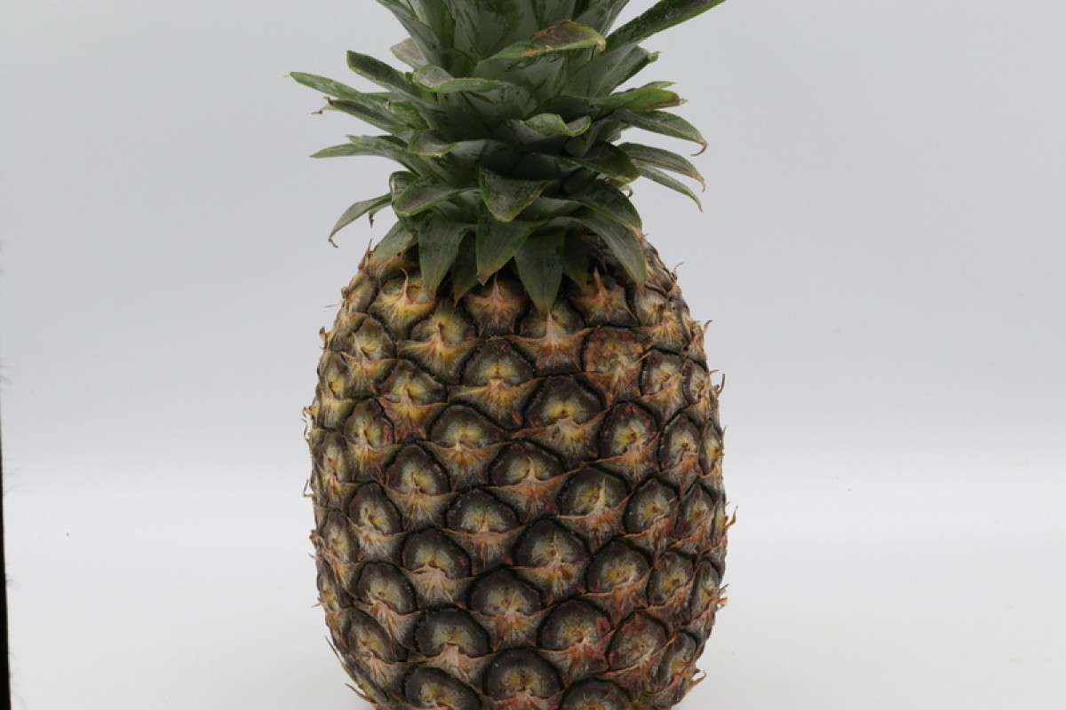 Ananas MD2 from Angola