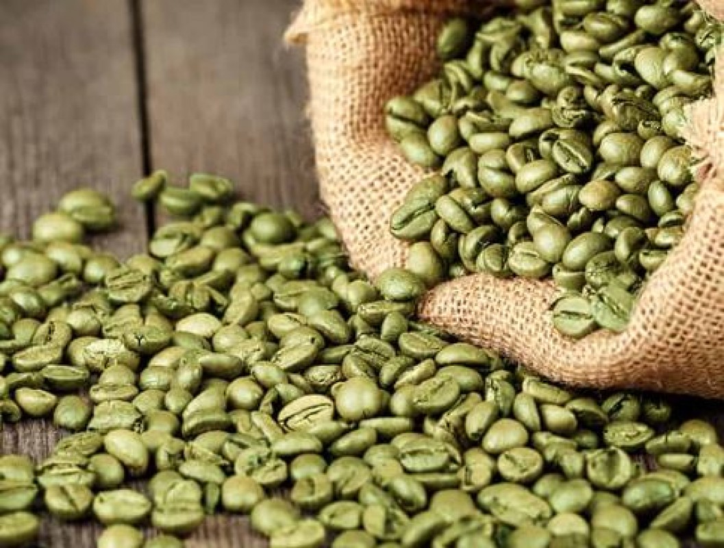 Biji Kopi Hijau & Sangrai from Angola