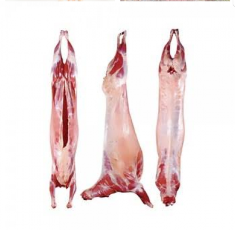 Bevroren halal schapenvlees from Bangladesh