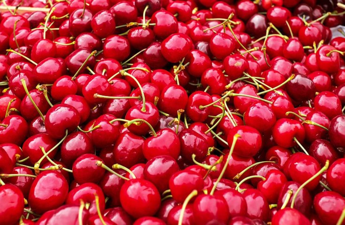 czereśnie from Bułgaria