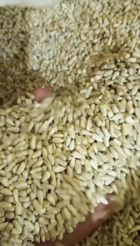 Safflower seeds from Brazil