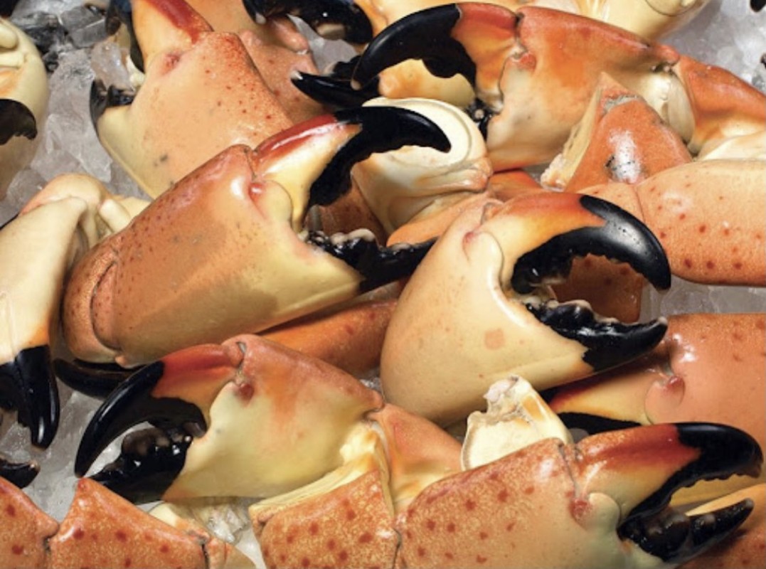 Kepiting Batu from Bahama