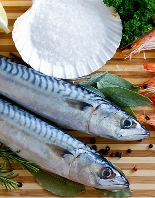 Frozen Mackerel from Canada