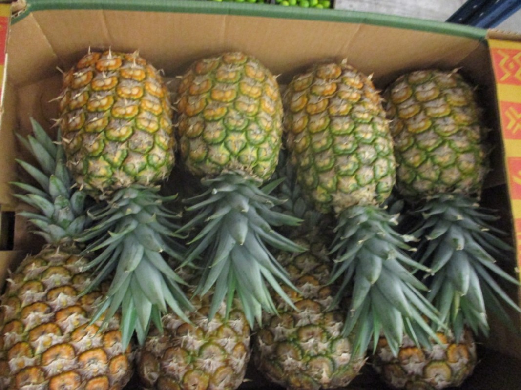 Ananas from Ivory Coast