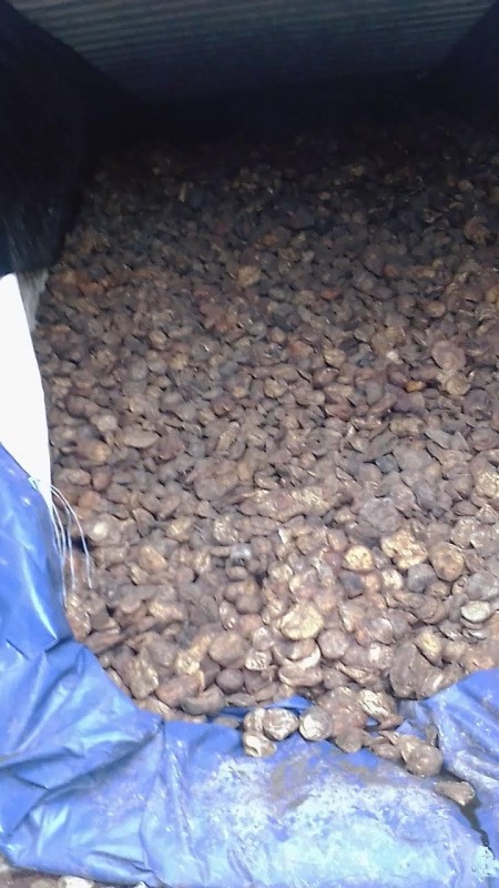 Natuurrubber in cup lump-vorm from Ivoorkust