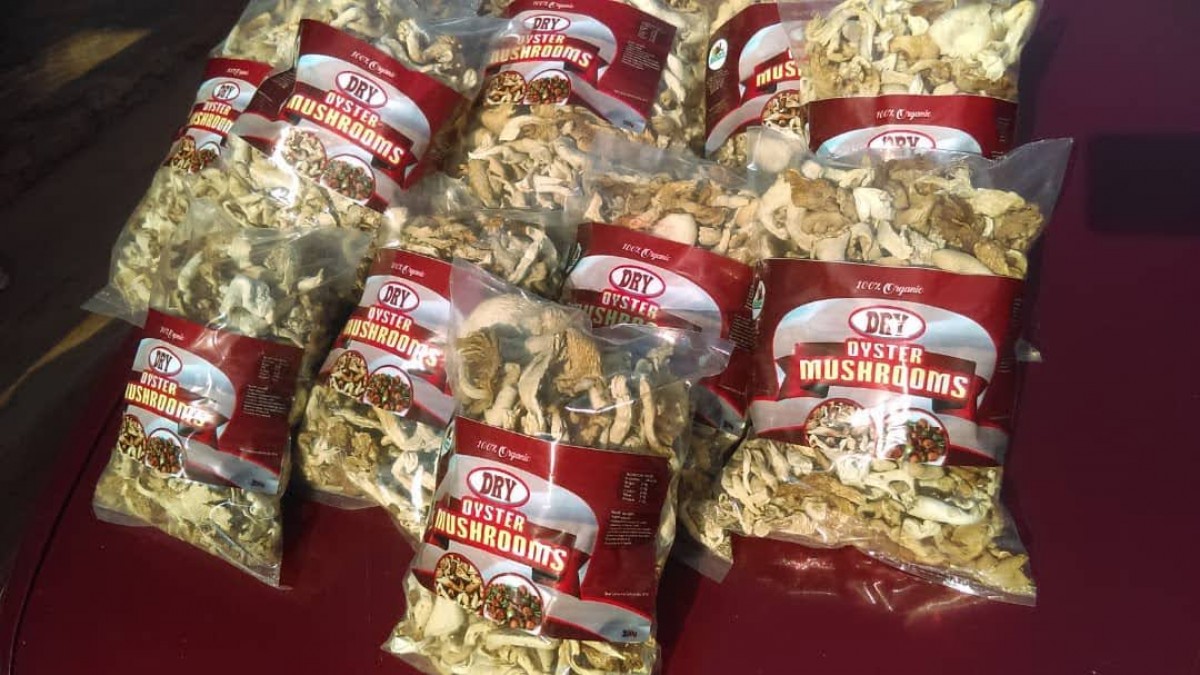 Oyster Mushrooms from Cameroon