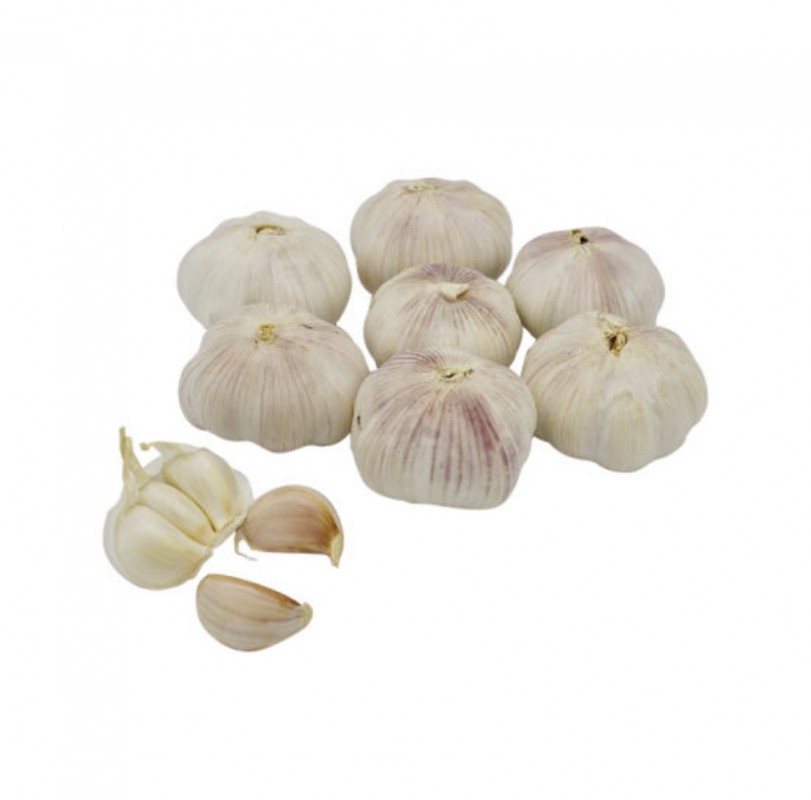 Verse Witte Knoflook from China