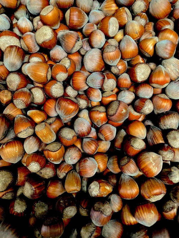 Hazelnut from Germany from Germany