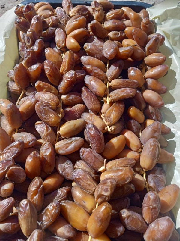 Dadels from Algerije