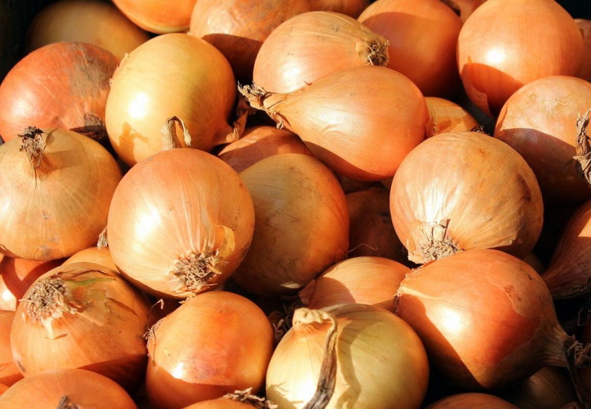 Cipolle gialle egiziane from Egitto