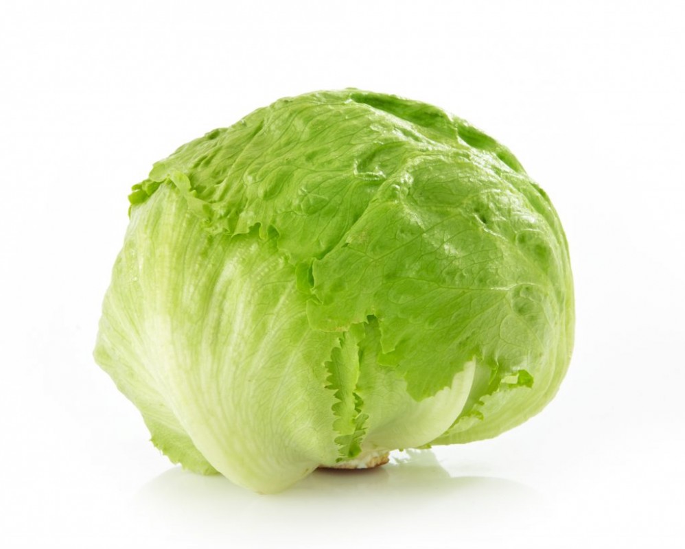 Selada Iceberg from Spanyol