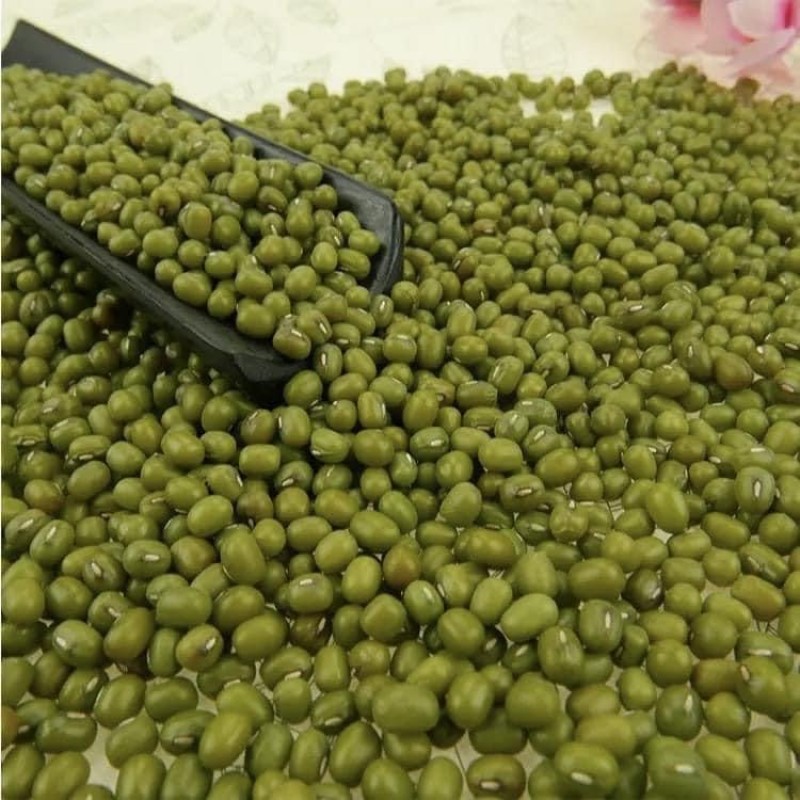 Green Mung Bean from Ethiopia