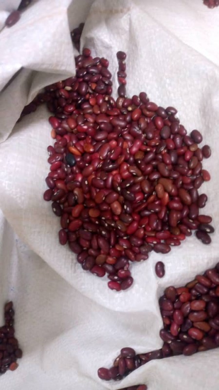 Frijoles Rojos from Etiopía