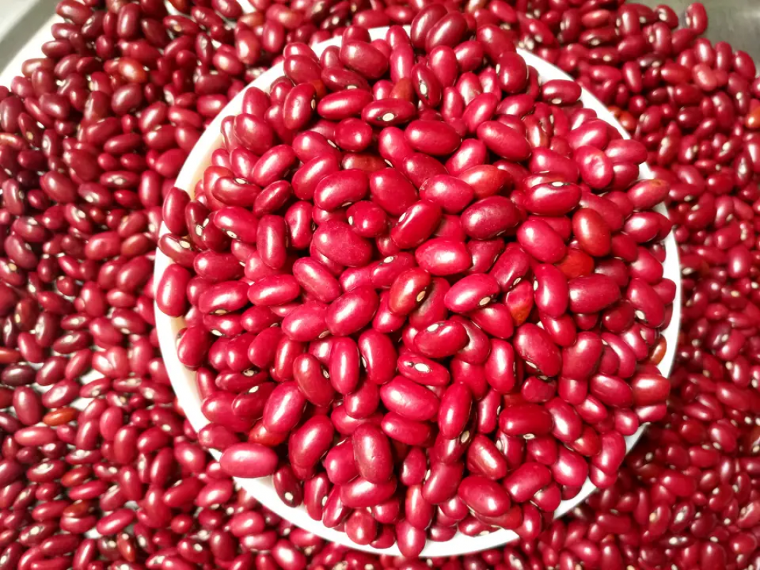 Frijoles rojos from Etiopía