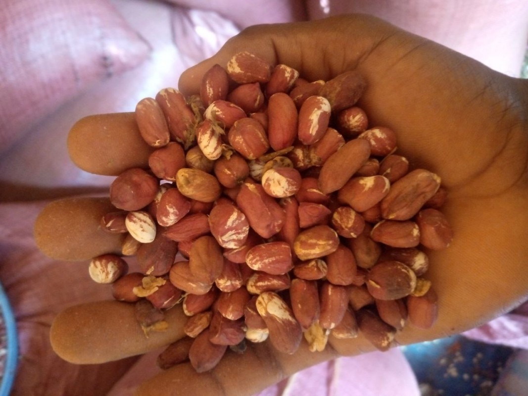 Peanuts from Ethiopia