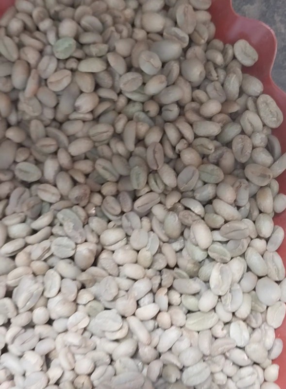 Coffee Arabica from Ethiopia