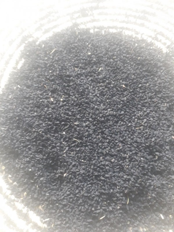 Black cumin from Ethiopia
