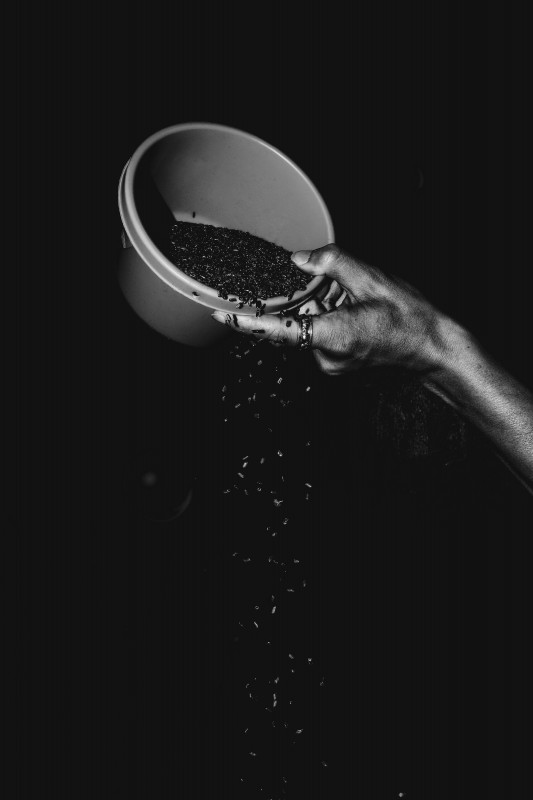 Semi di cumino nero from Etiopia