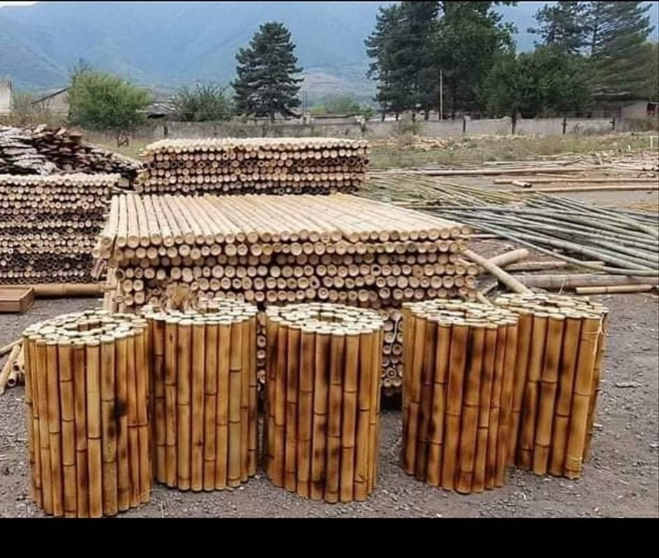 Bamboe from Georgië