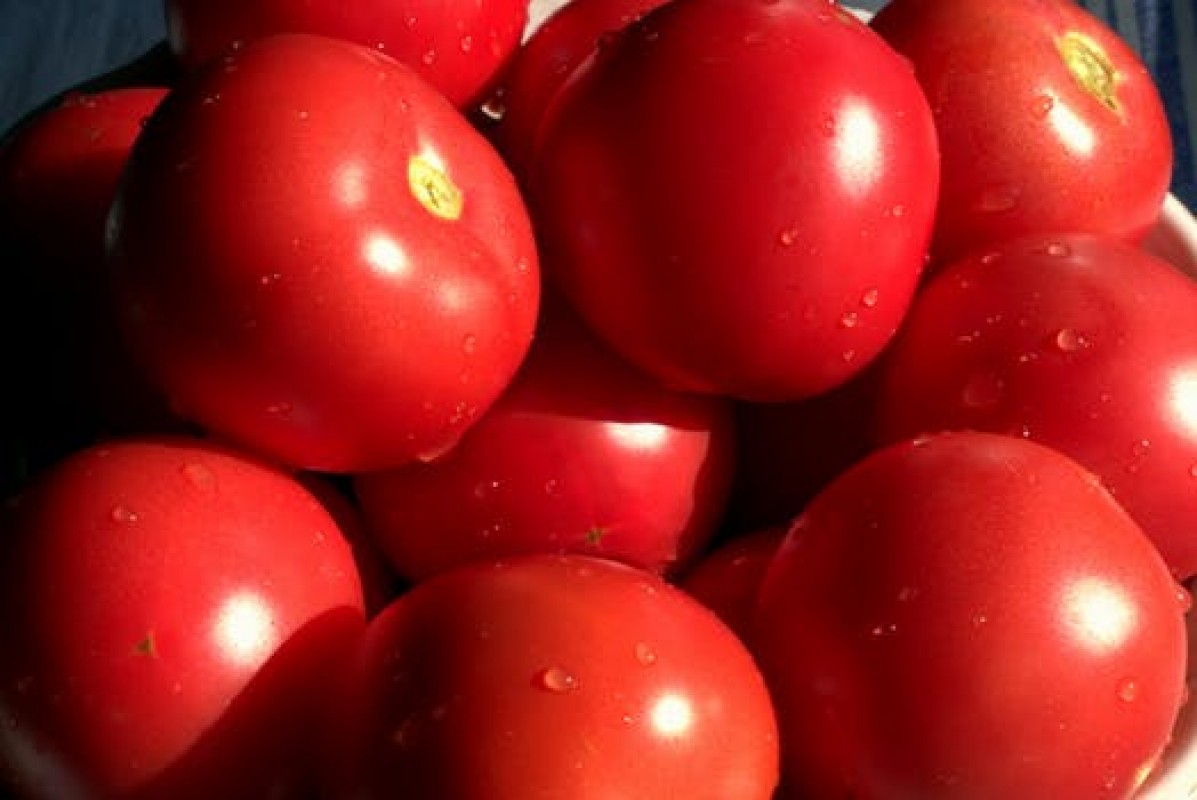 Tomates from Gana