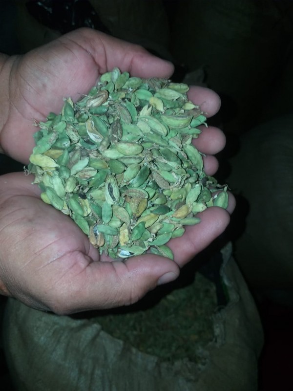Cardamome Verte from Guatemala