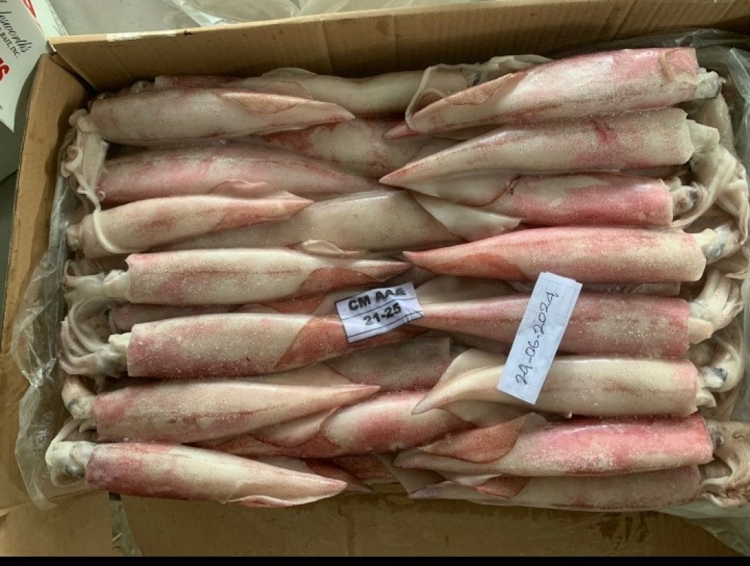 Frozen squid from Indonesia