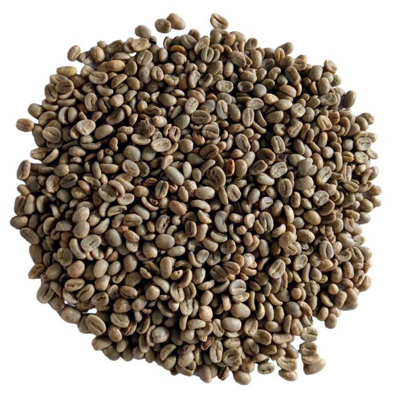 Wild Civet Coffee from Indonesia