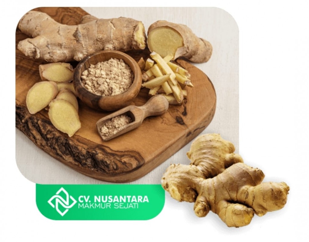 FRESH GINGER from Indonesia