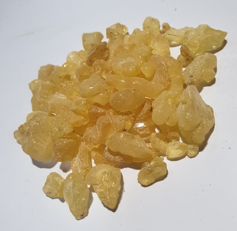 Damar Gum high quality from Indonesia