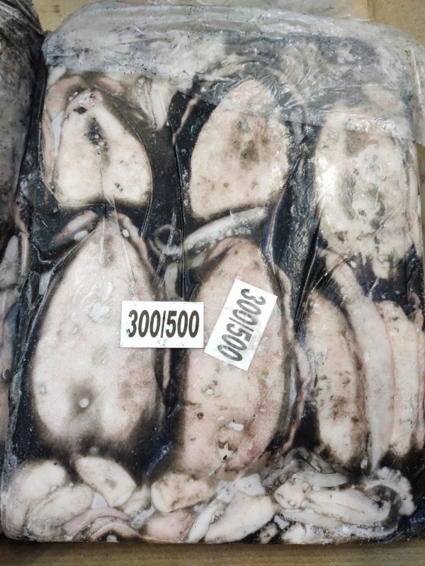 Seppia from India