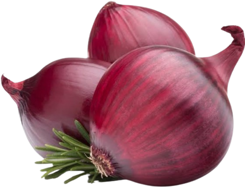 Fresh Onion from India