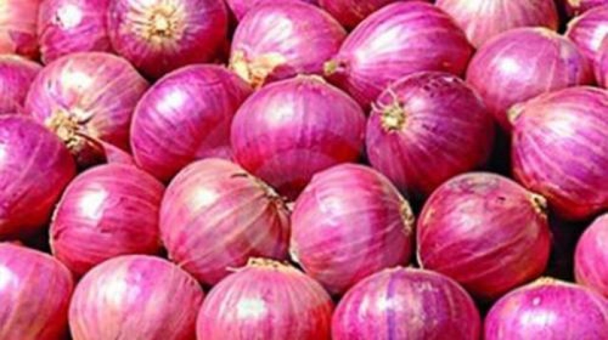 Onions from India