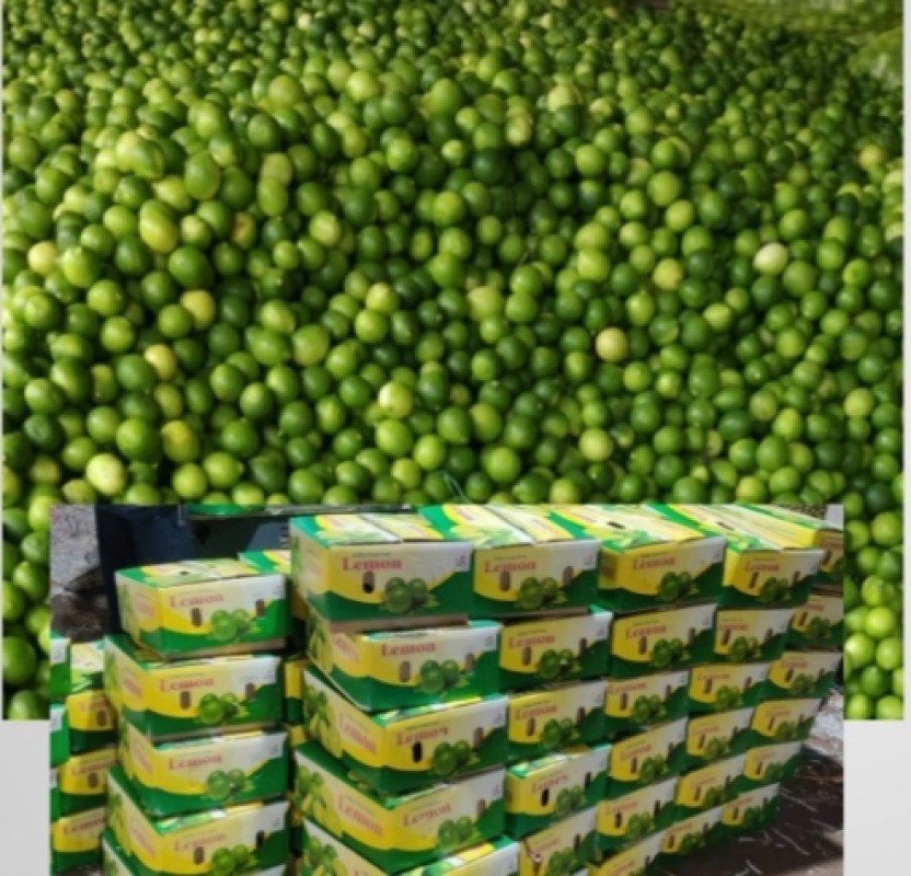 Limón from India