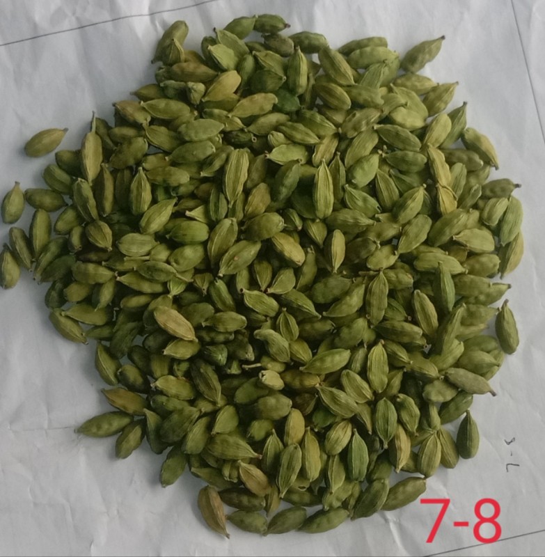 India Cardamom from India