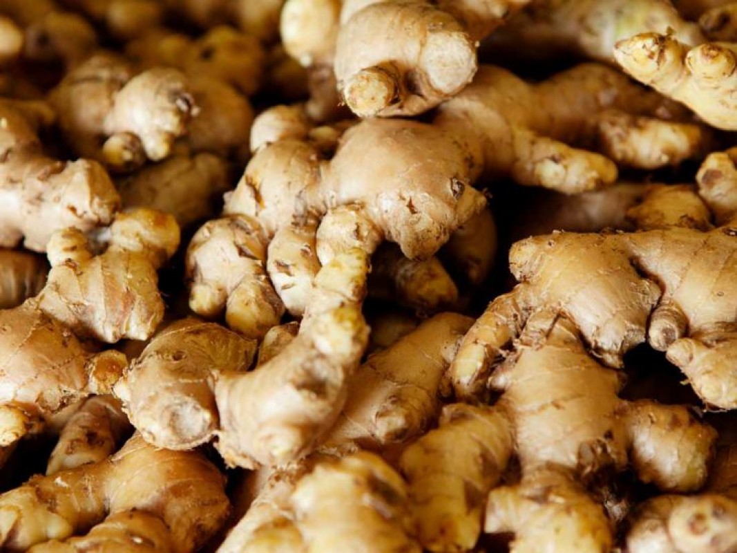 Ginger from India