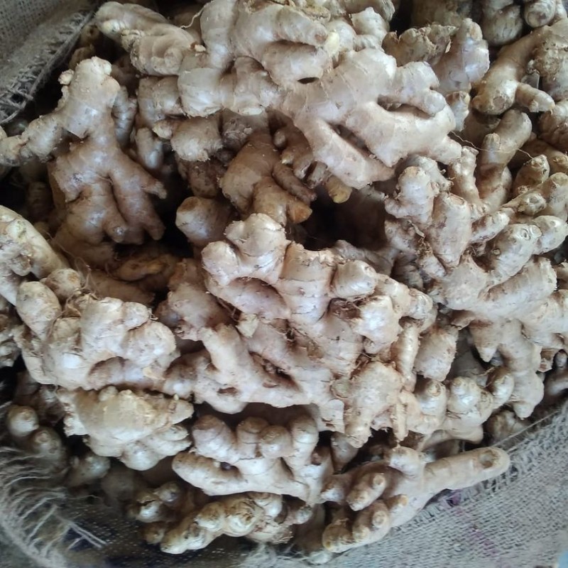 Ginger From India from India