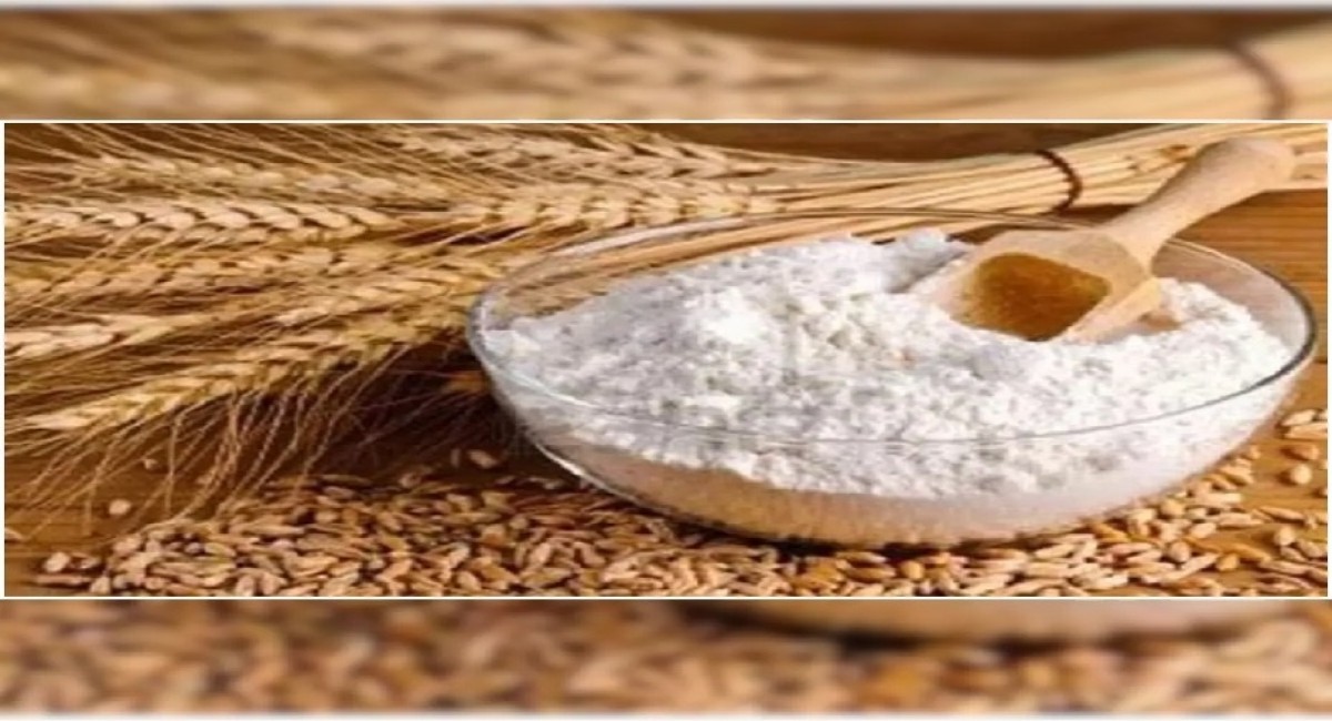 Gluten de harina de trigo grado alimenticio from India