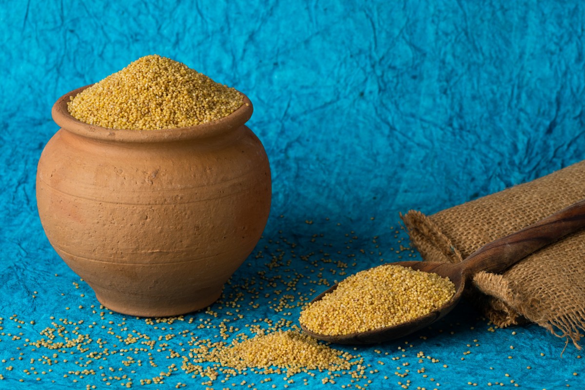 Foxtail Millet from India