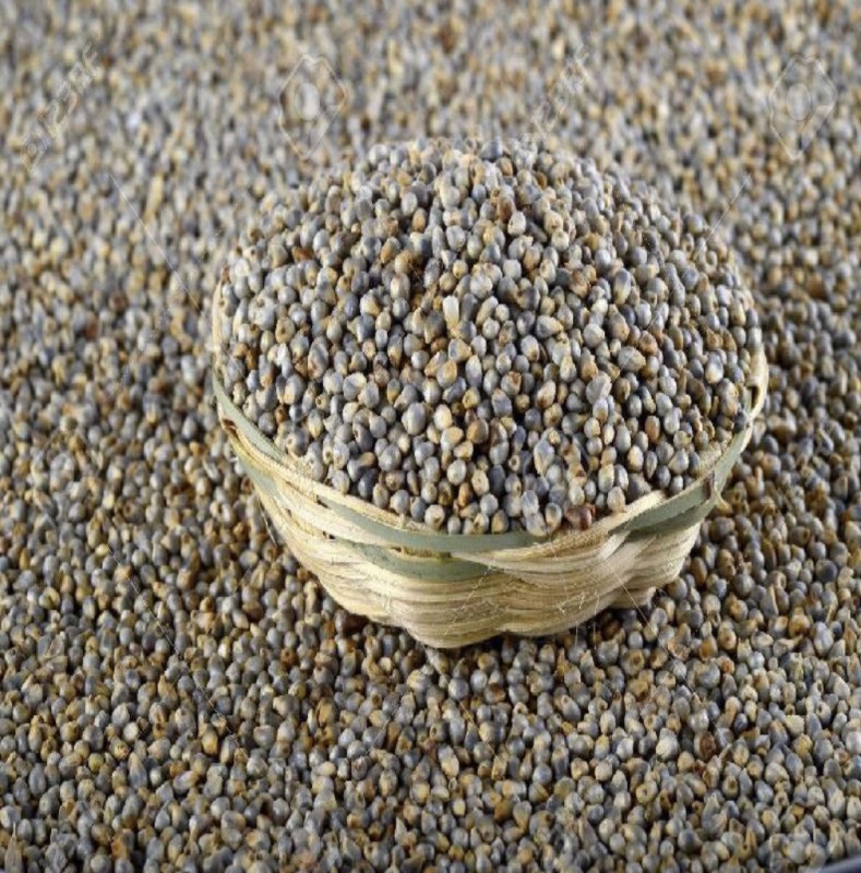 Pearl Millet from India