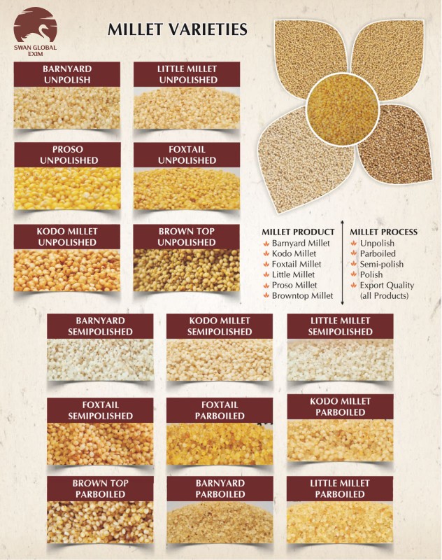 Millet from India