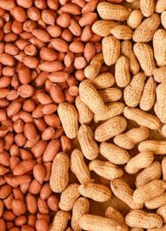Murali farms from Inde