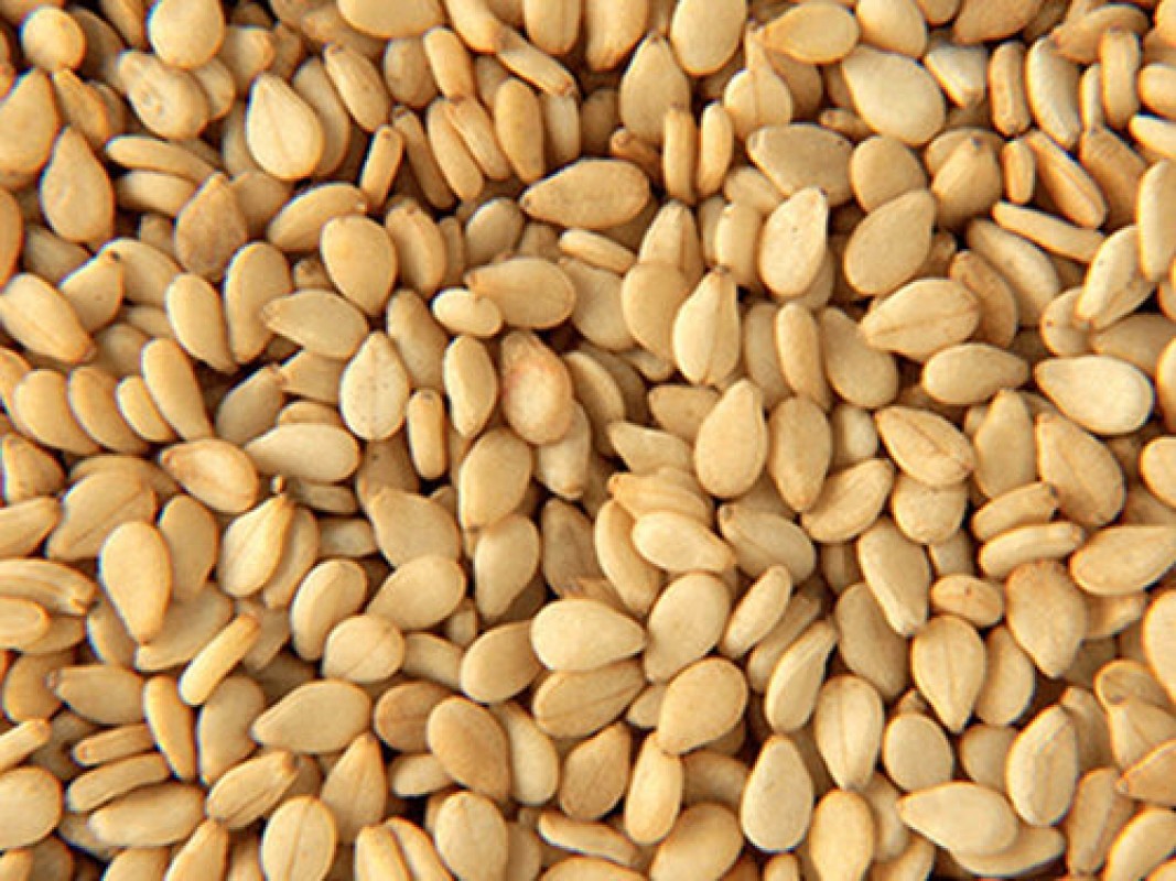Semi di sesamo marrone from India