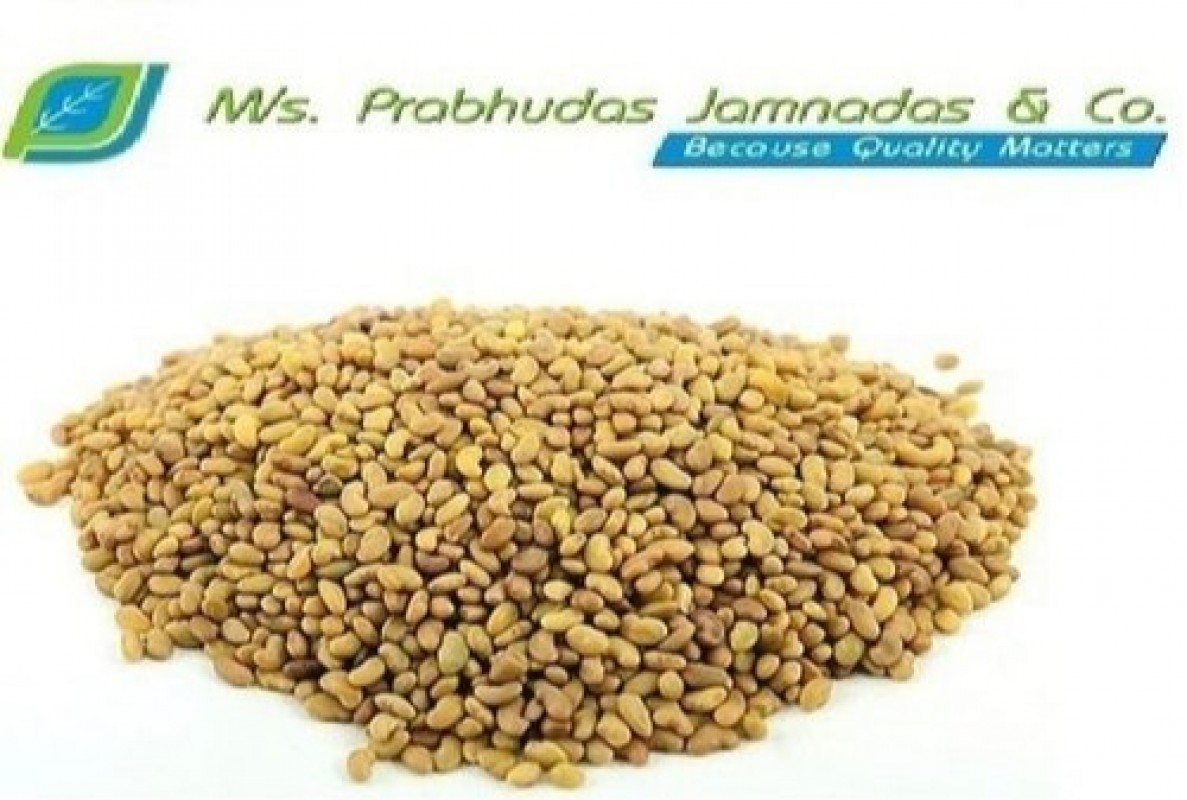 Semi di erba medica from India