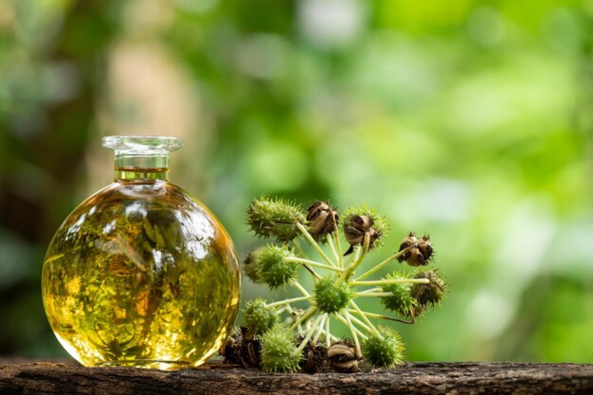 Castor Oil from India