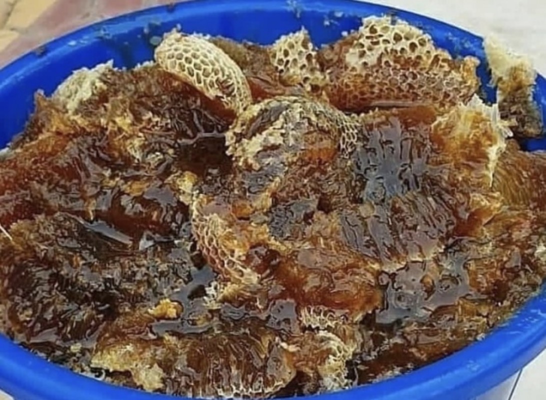 Miele from Iran