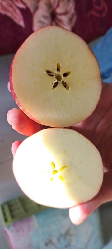 Apple from Iran