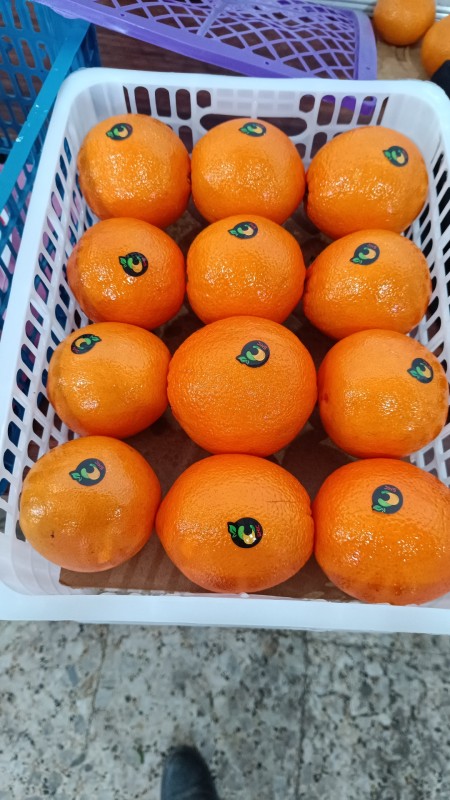 Jeruk from Iran