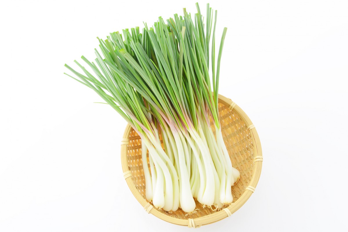 Pó de Nobiletina from Japão