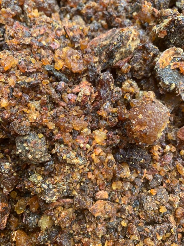 GUMA MIRRA from Kenia